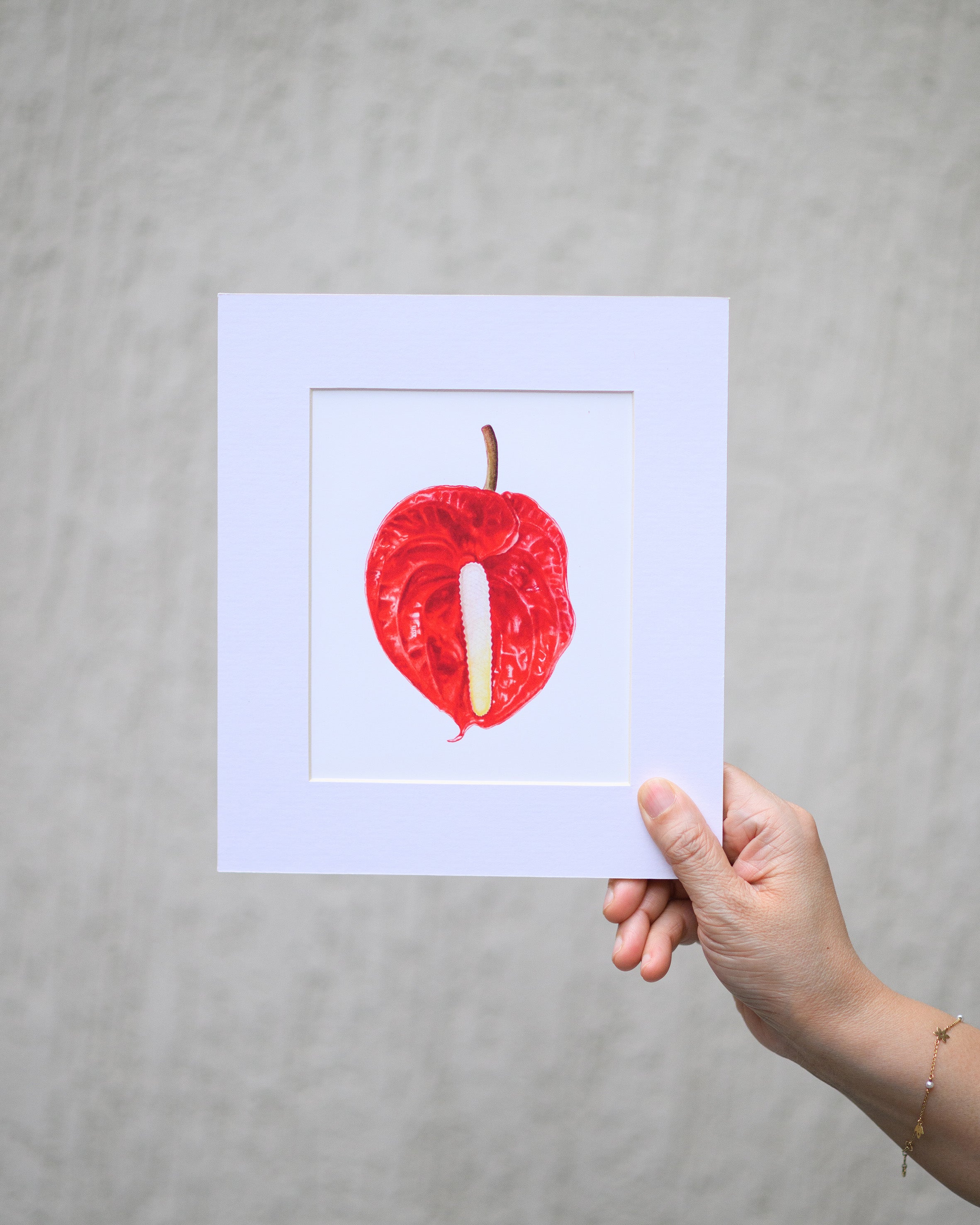 anthurium mount Anthurium – BYKDSTUDIO