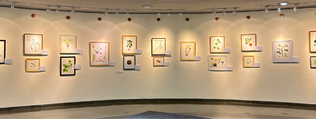Botanical Art Finds Its Voice in India