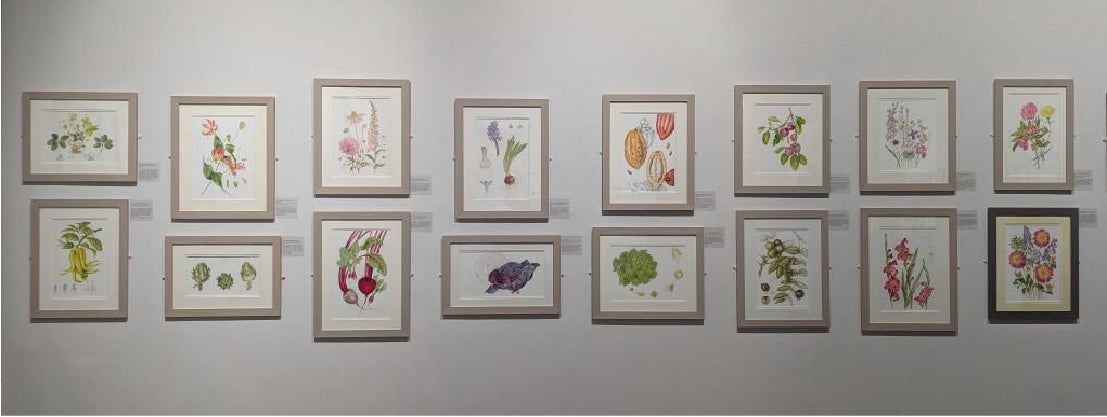 From My Studio in India to the Mall Galleries in London