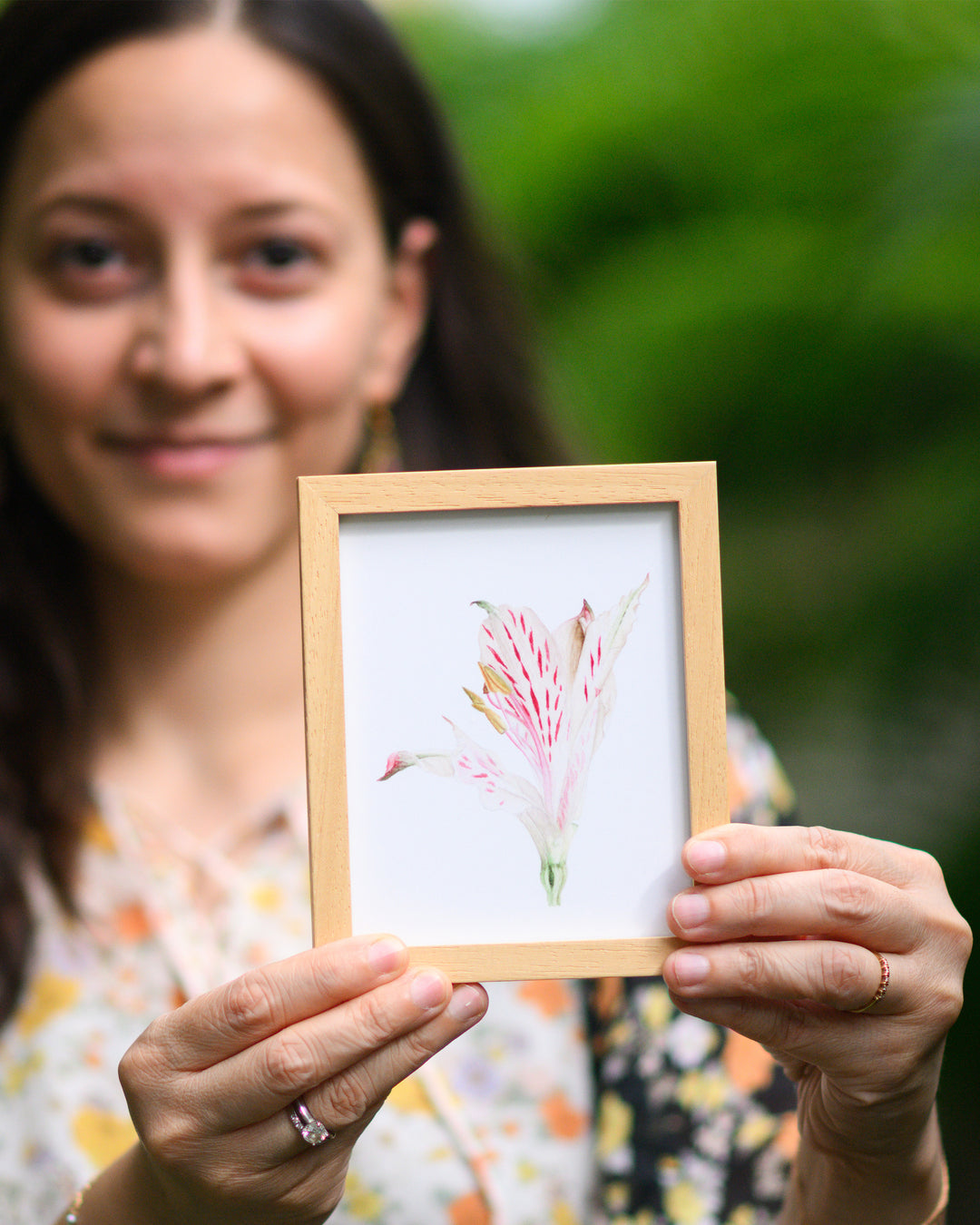 Alstroemeria