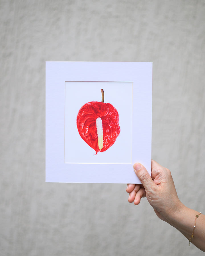 Anthurium